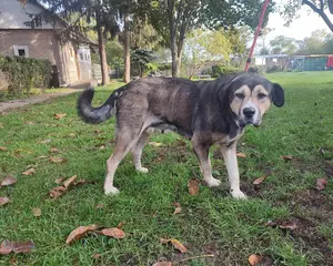 7104-Bella