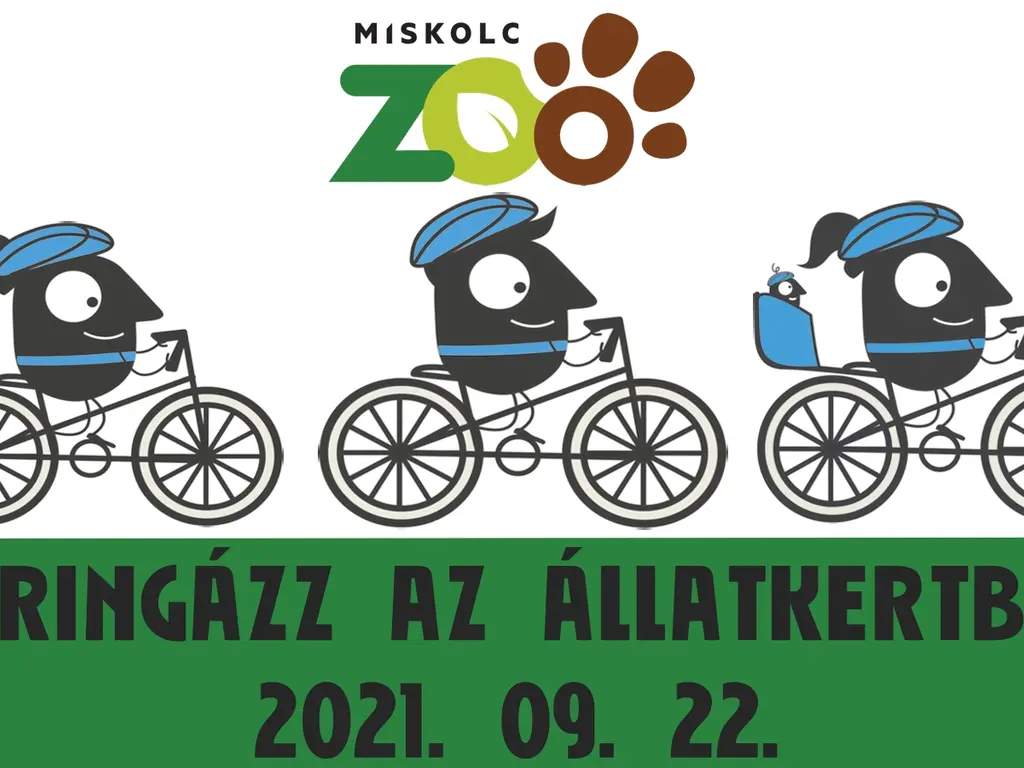 Bringázz az állatkertbe!