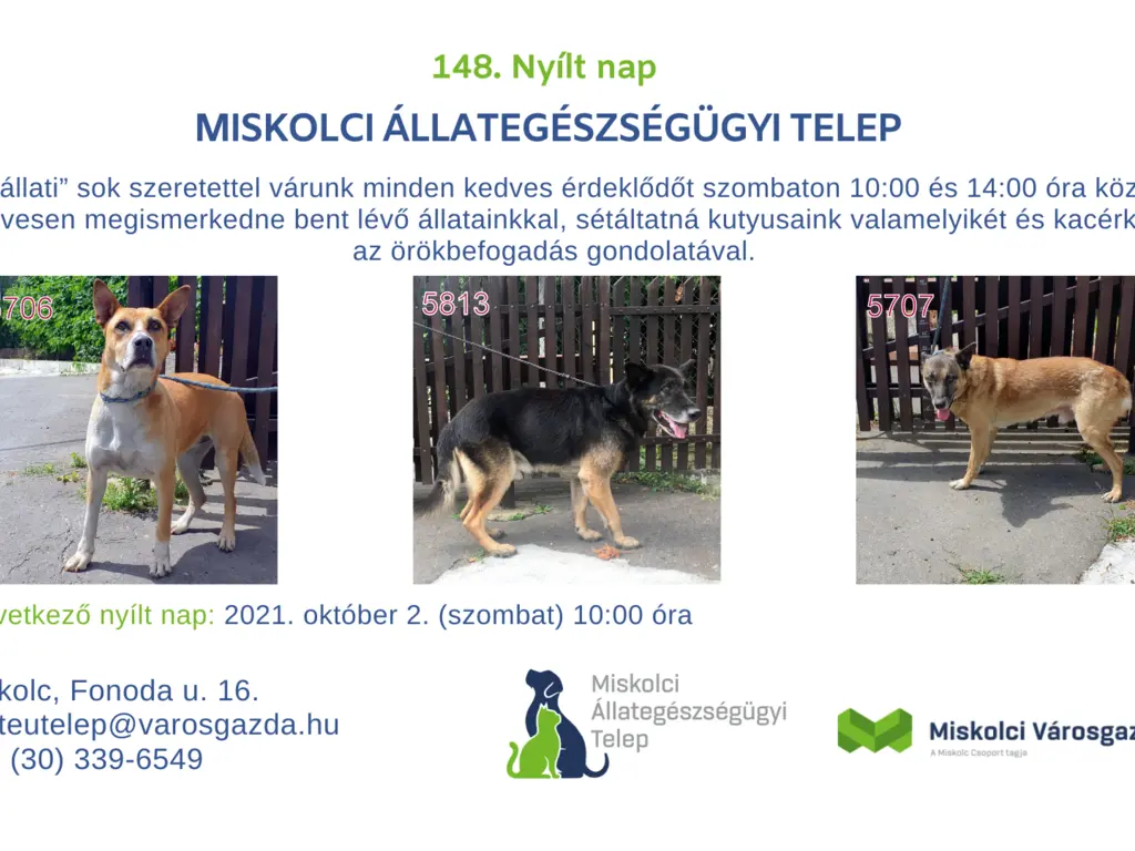 148. Nyílt nap az Állategészségügyi Telepen