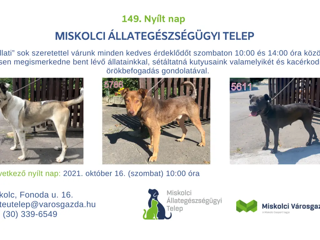 149. Nyílt nap az Állategészségügyi Telepen