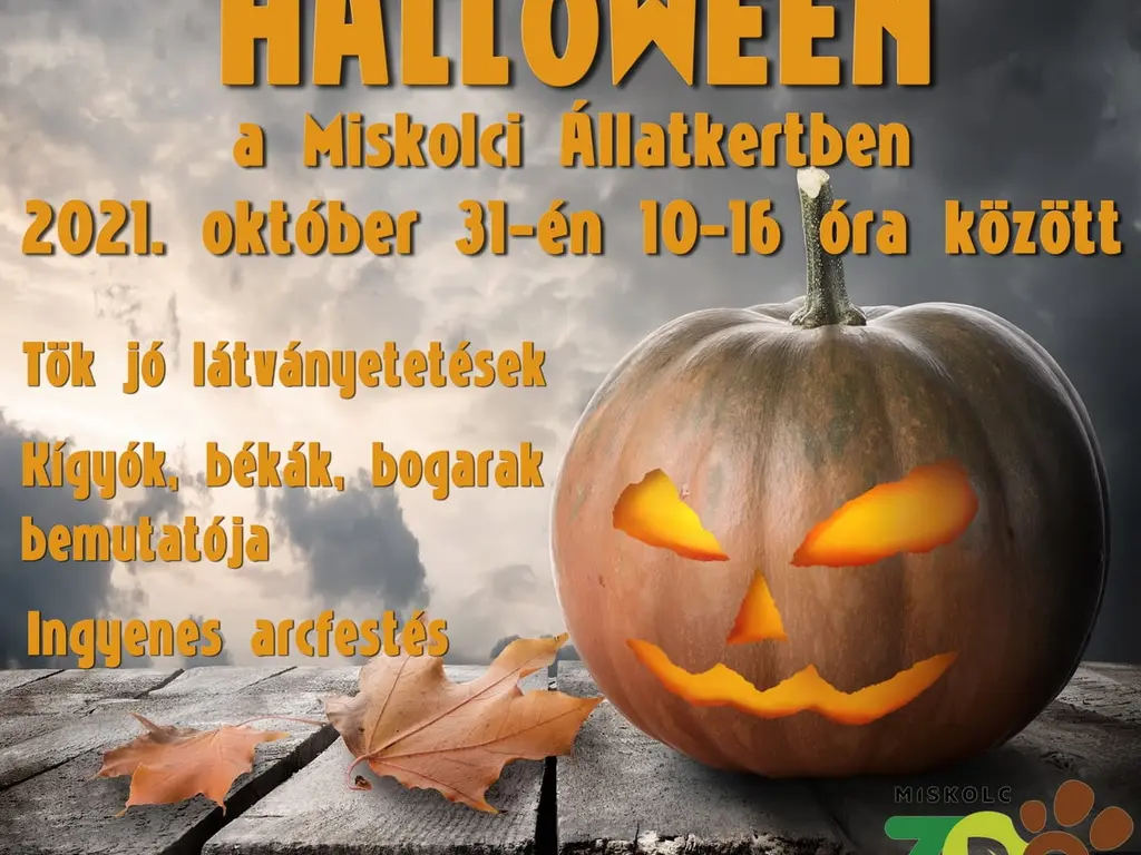 Halloween a Miskolci Állatkertben