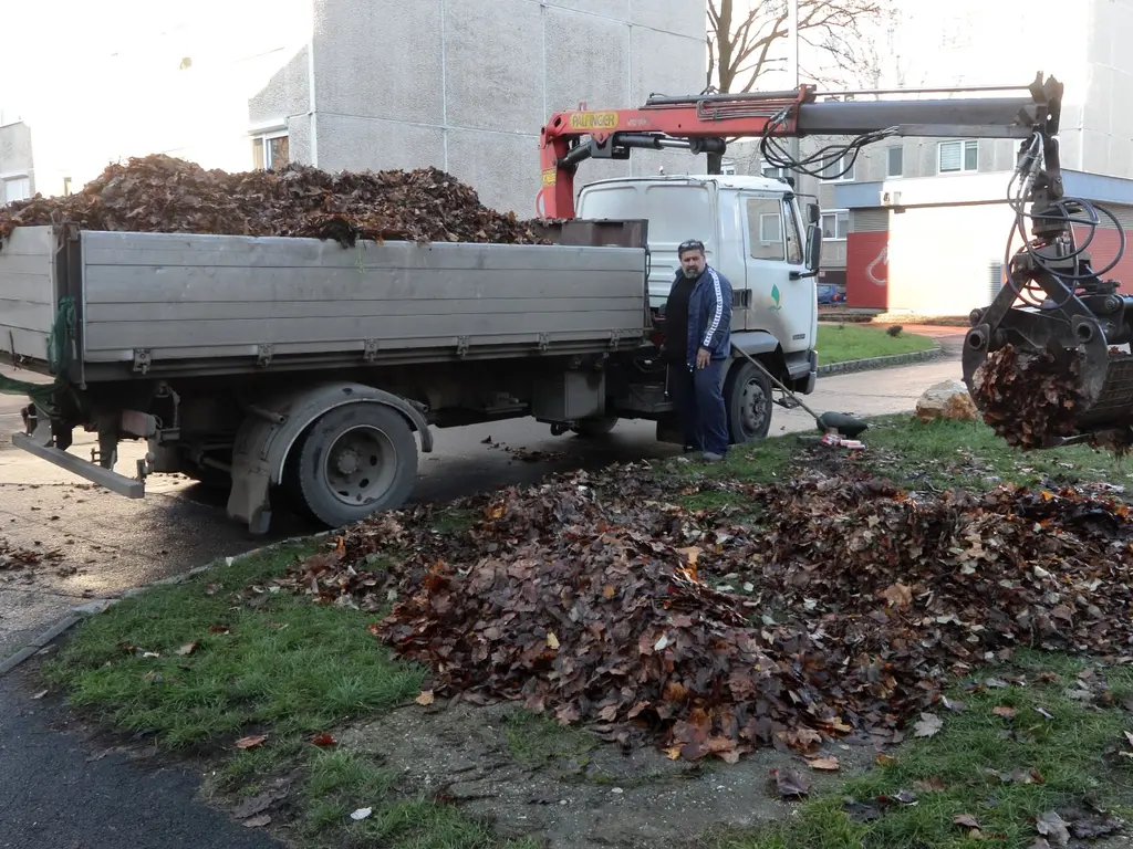 Őszi lombgyűjtést végeznek a városban