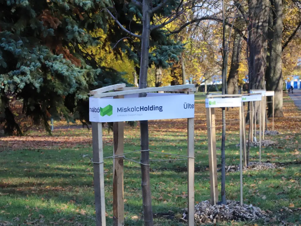 Új fasorral gazdagodott a Népkert Elsődleges fülek