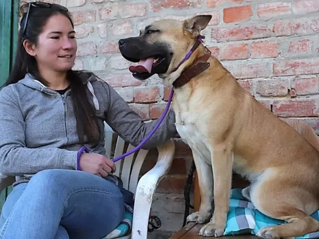 151. Nyílt nap az Állategészségügyi Telepen