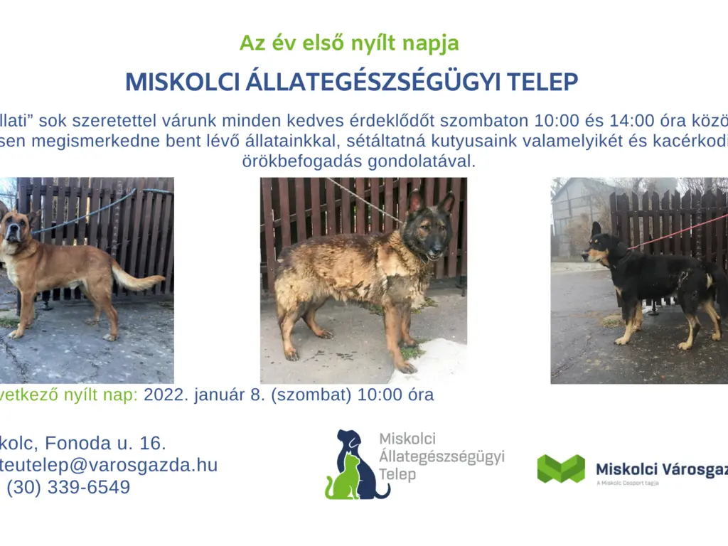 154. Nyílt nap az Állategészségügyi Telepen