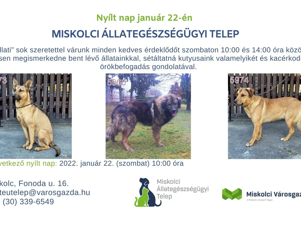 Nyílt nap az Állategészségügyi Telepen