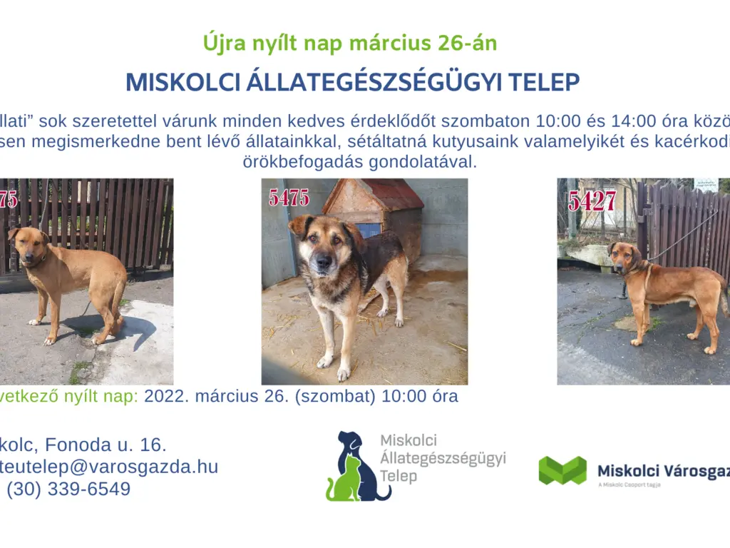 Nyílt nap az Állategészségügyi Telepen