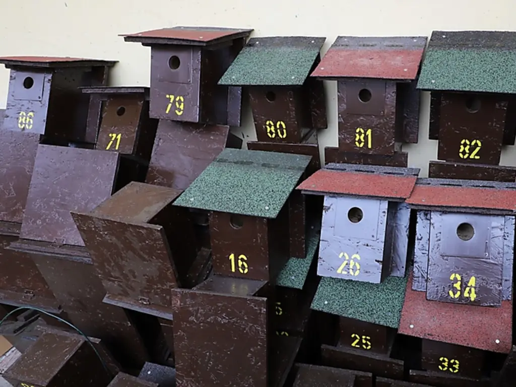 A már kész madárodúk a városgazda telephelyén várják a kihelyezést. Fotók: Mocsári László