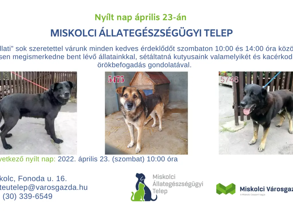 Nyílt nap az Állategészségügyi Telepen 04.23.