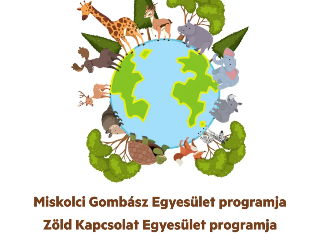 Föld napi programok a Miskolci Állatkertben