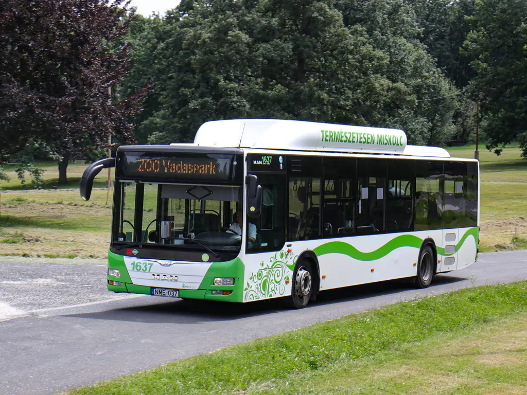 Május 1-től ismét közlekedik a ZOO-járat