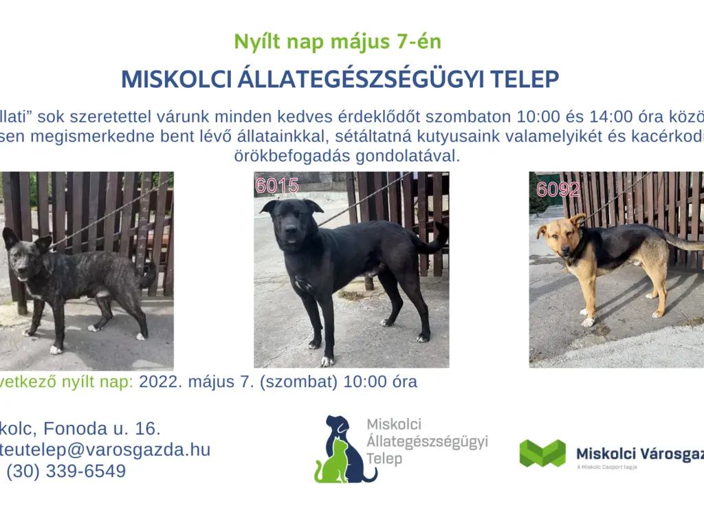 Nyílt nap az Állategészségügyi Telepen