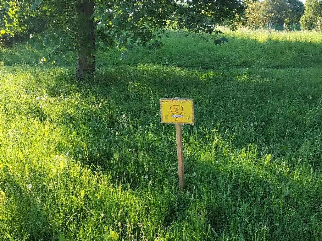 Méhlegelő területek Miskolcon