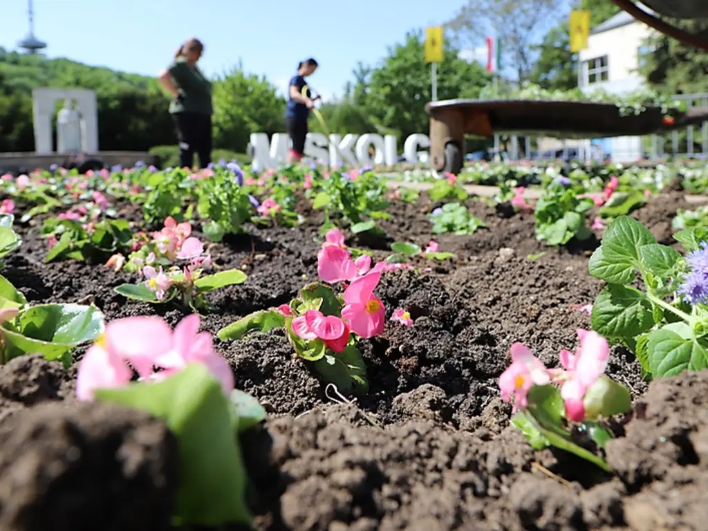 Fotó: Mocsári László