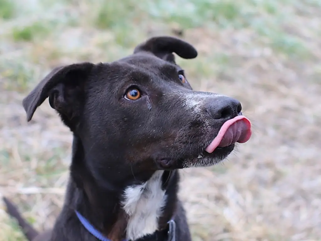 Fotó: Mocsári László