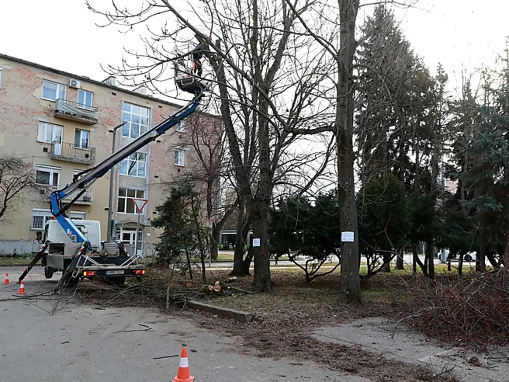 Dorottya utcai gallyazás januárban Fotó: Juhász Ákos