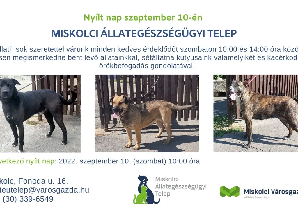 Nyílt nap az Állategészségügyi Telepen