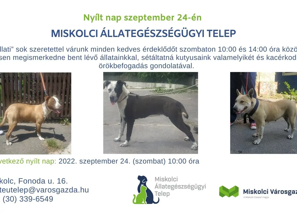 Nyílt nap az Állategészségügyi Telepen