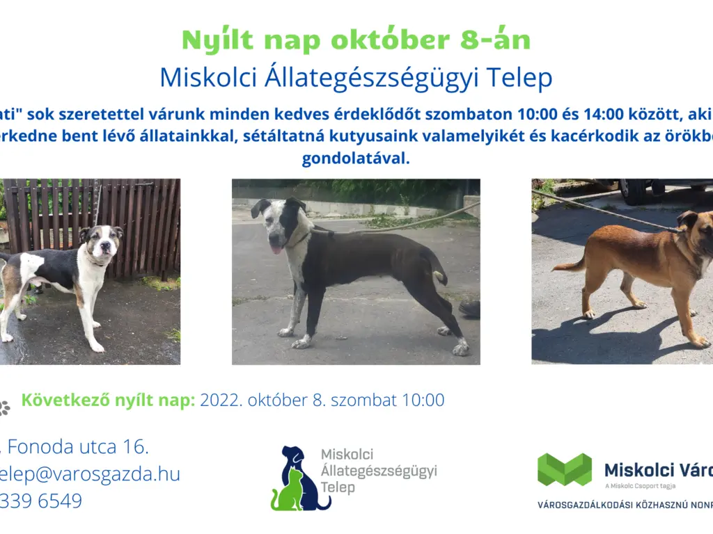 Nyílt nap az Állategészségügyi Telepen