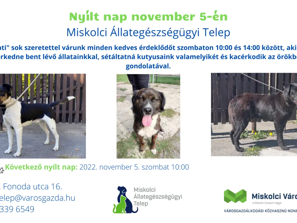 Nyílt nap az Állategészségügyi Telepen