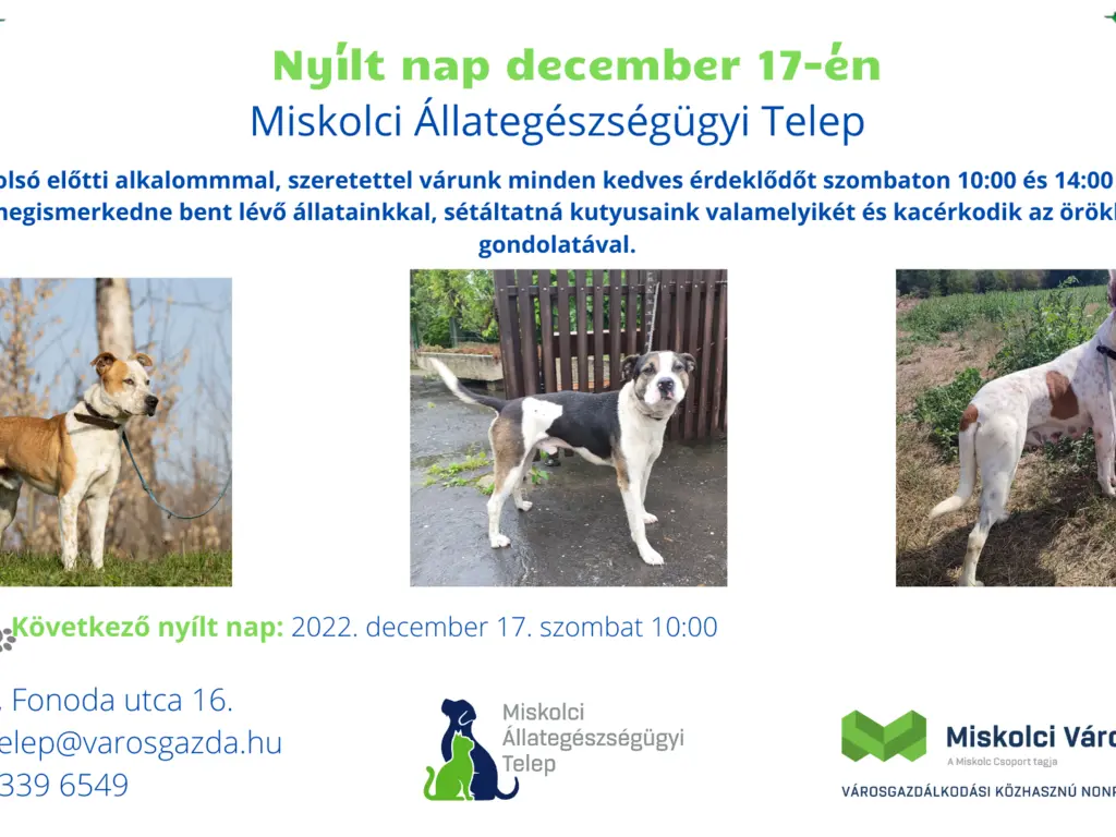 Az év utolsó előtti nyílt napja az Állategészségügyi Telepen