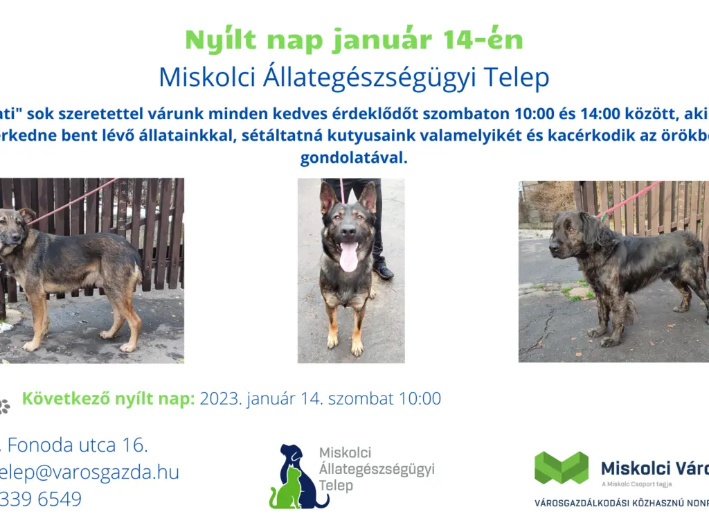 Nyílt nap az Állategészségügyi Telepen