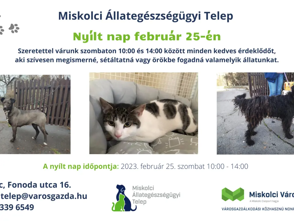 Nyílt nap a Miskolci Állategészségügyi Telepen