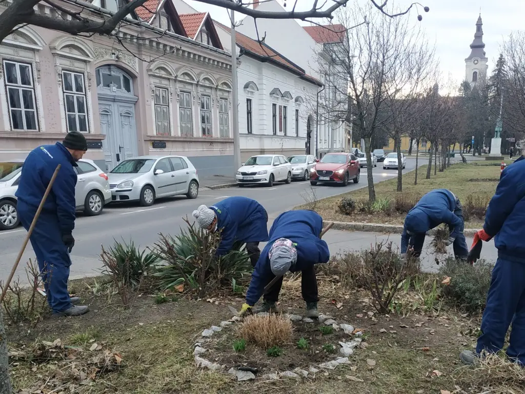 Cserjeápolás a Palóczy László utcában