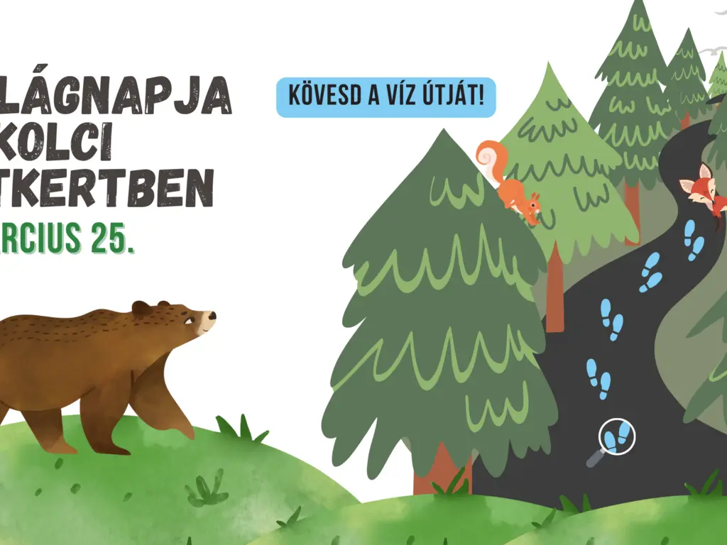 A Víz Világnapja a Miskolci Állatkertben