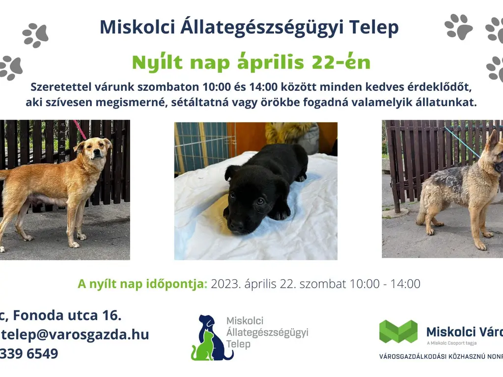 Nyílt nap - április 22