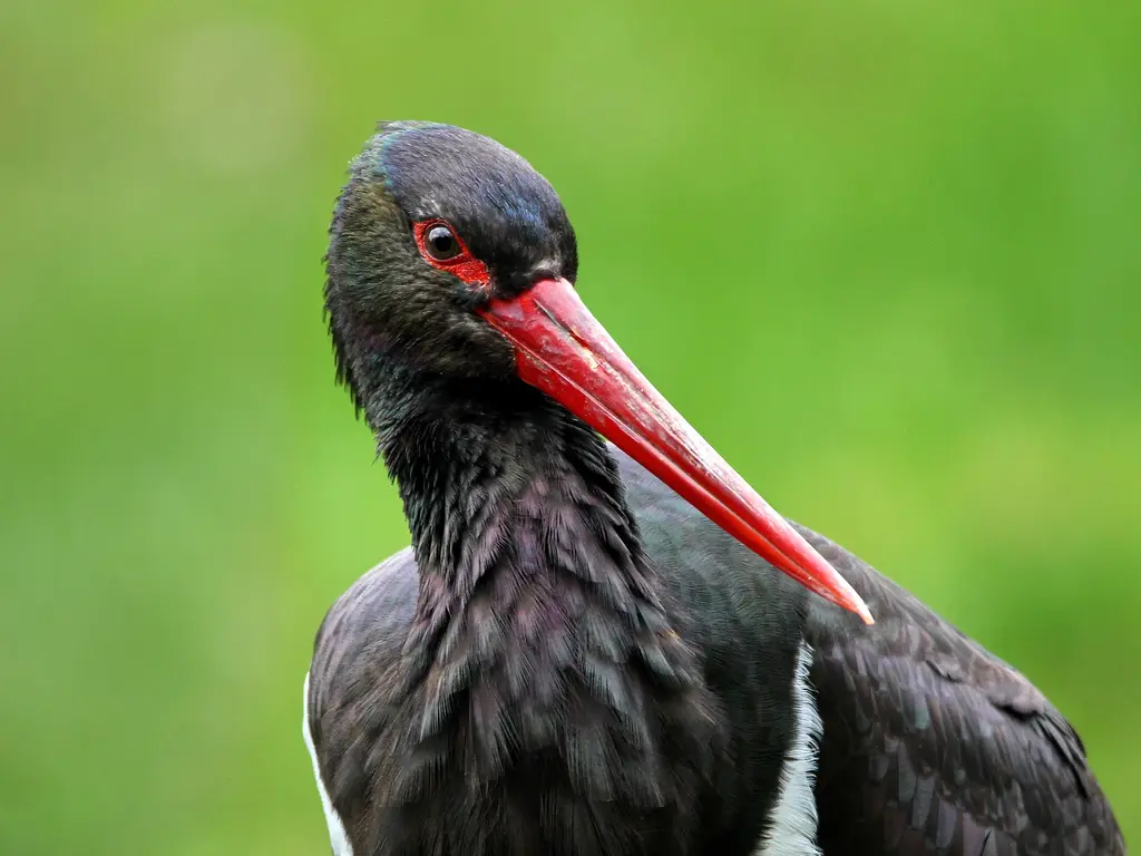 Fűnyírás a Szinva-patak mentén
