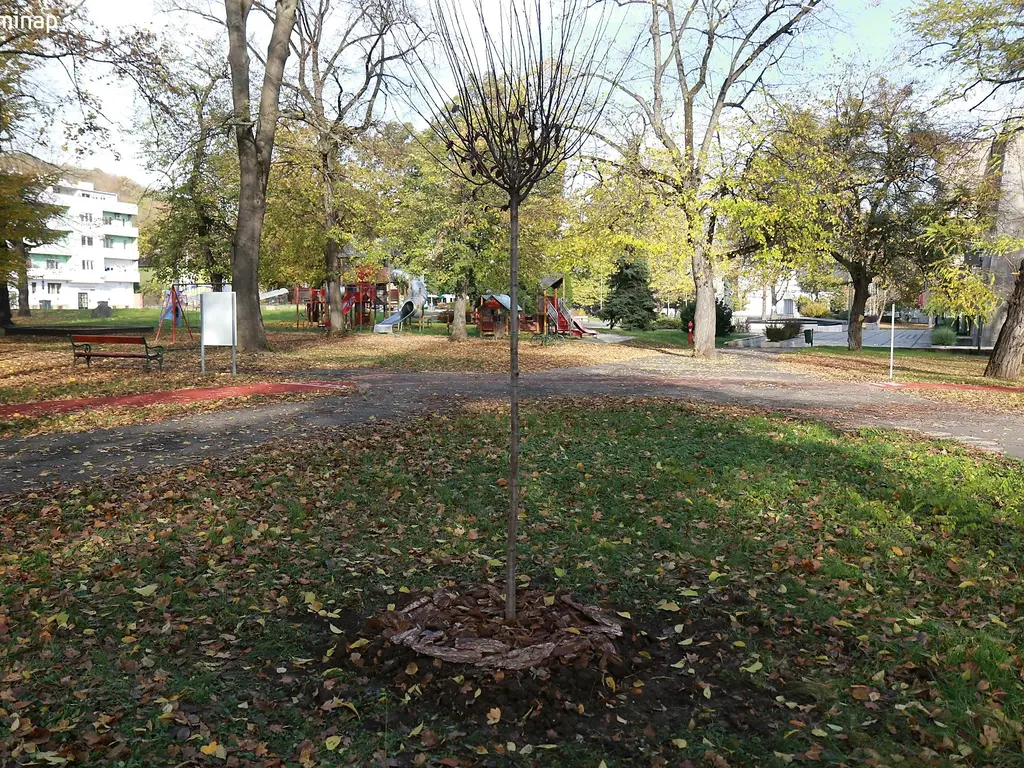 parkosítás