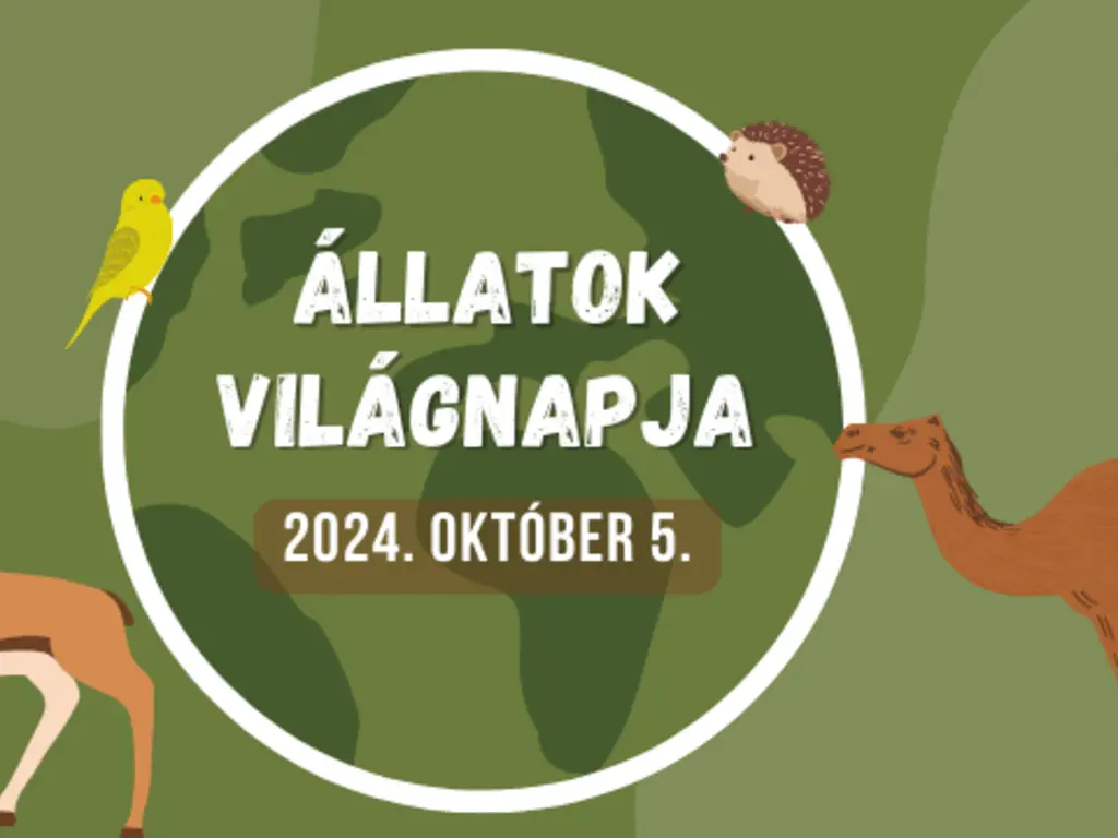 Állatok világnapja a Miskolci Állatkertben