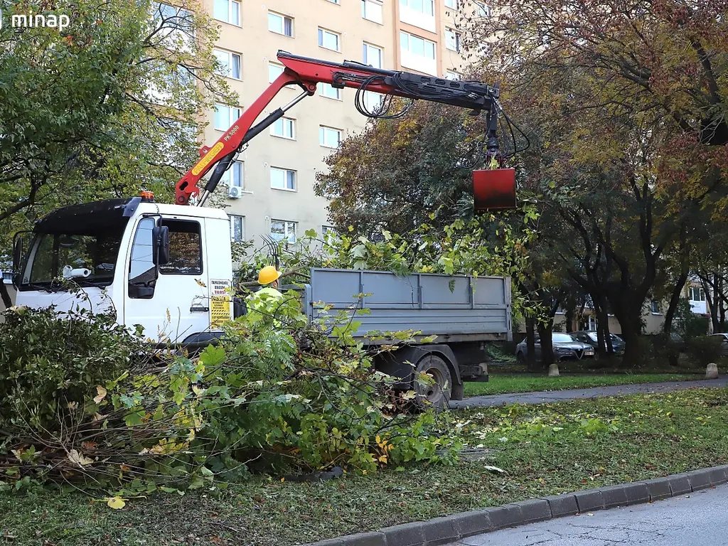 Fotó: Mocsári László