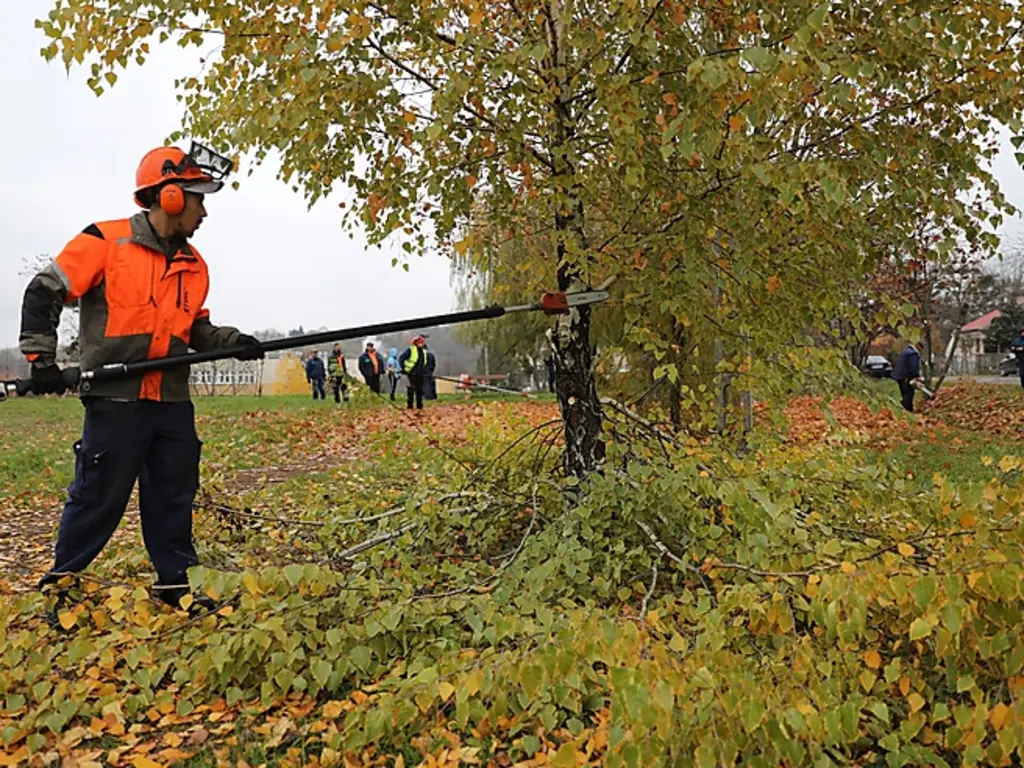Fotó: Juhász Ákos