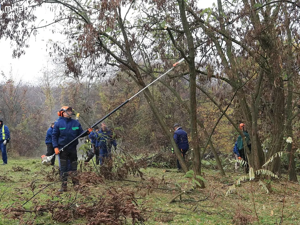 Fotó: Mocsári László