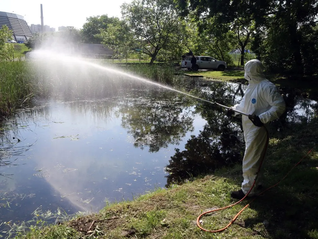 szúnyoglárvairtás