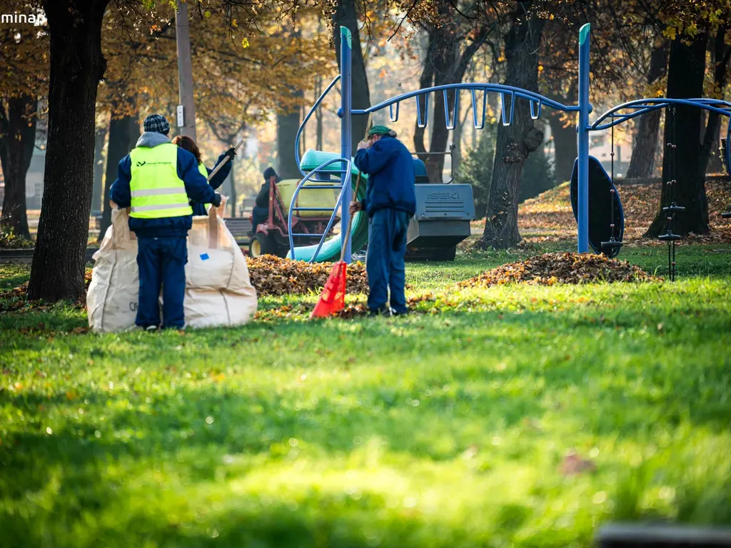 nagytakarítás ősszel