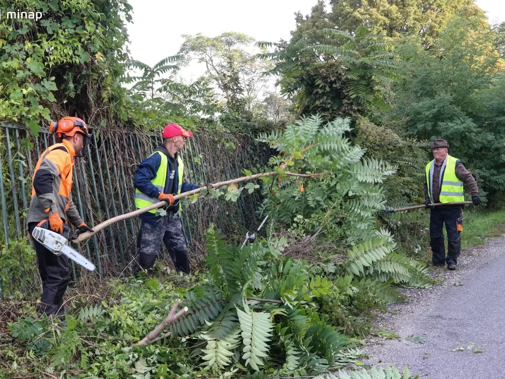  őszi nagytakarítás