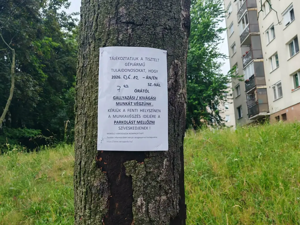 Fakivágás