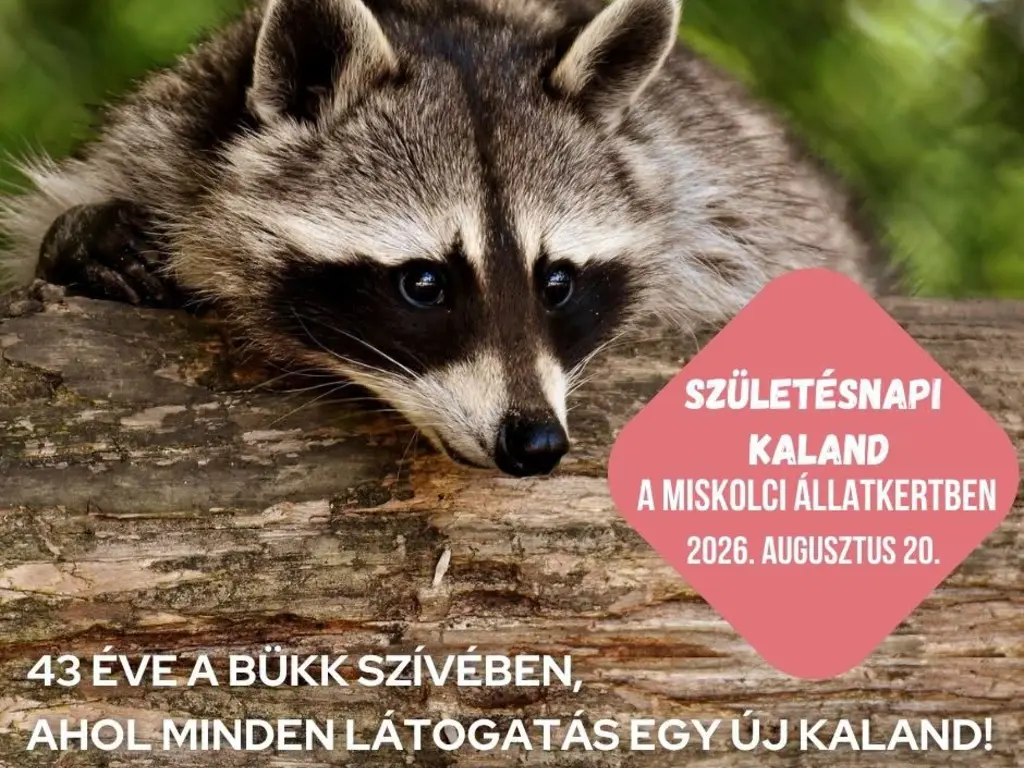 állatkert
