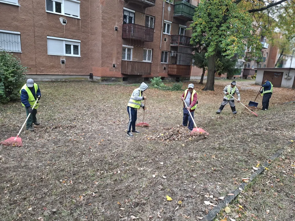 őszi nagytakarítás