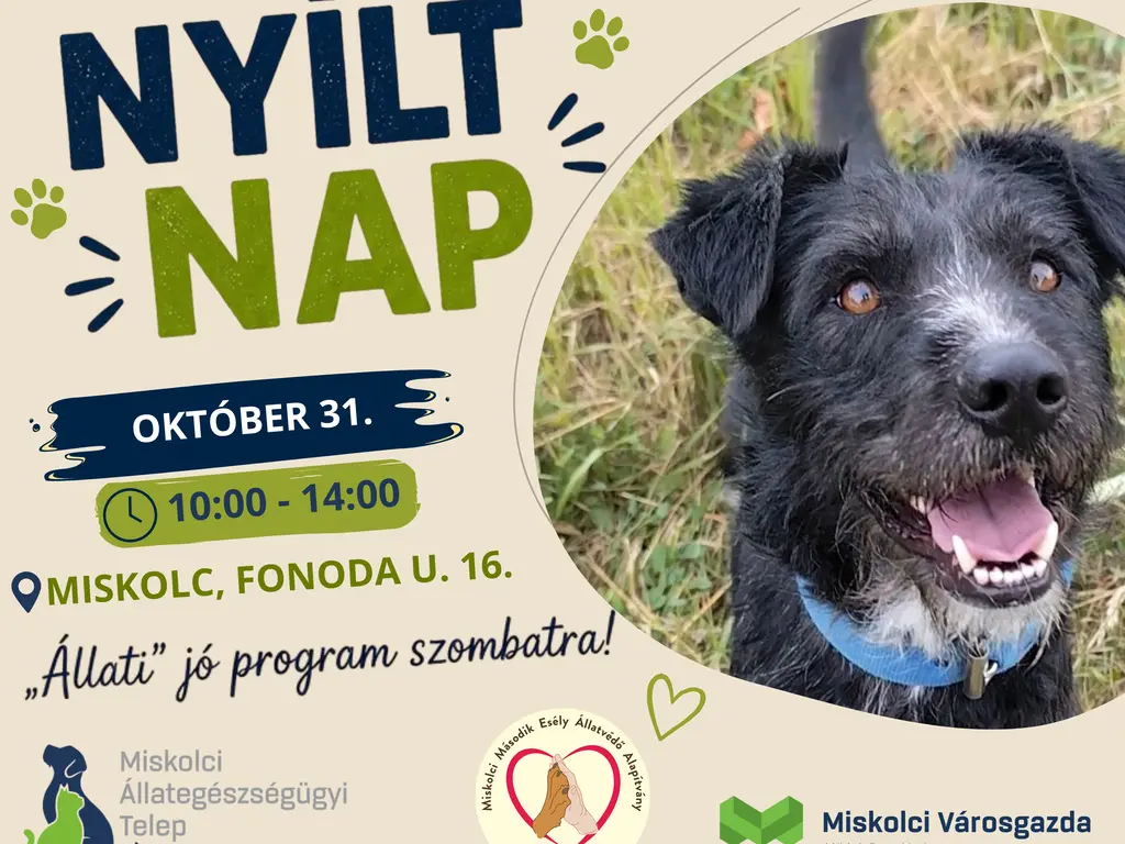 Nyílt nap az Állategészségügyi Telepen