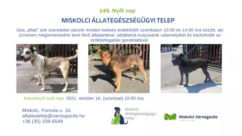 149. Nyílt nap az Állategészségügyi Telepen