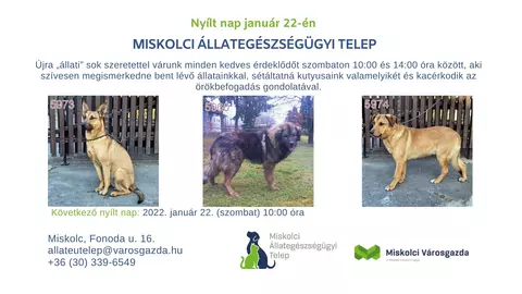 Nyílt nap az Állategészségügyi Telepen