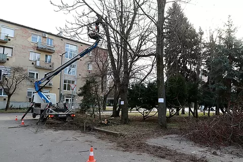 Dorottya utcai gallyazás  januárban Fotó: Juhász Ákos Dorottya utcai gallyazás januárban Fotó: Juhász Ákos