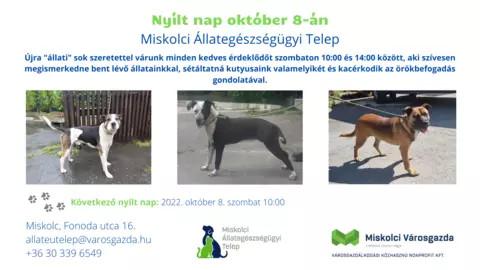 Nyílt nap az Állategészségügyi Telepen