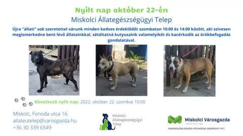 Nyílt nap az Állategészségügyi Telepen