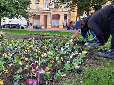 Ősszel is virágokkal gazdagítják a köztereket