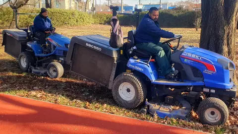 Lombgyűjtés a Népkertben